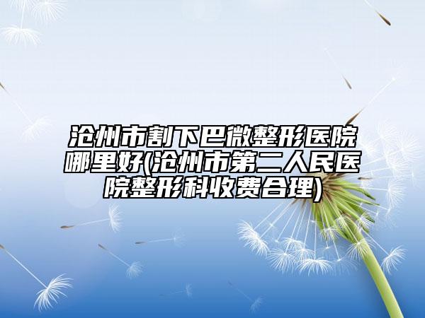 滄州市割下巴微整形醫(yī)院哪里好(滄州市第二人民醫(yī)院整形科收費(fèi)合理)