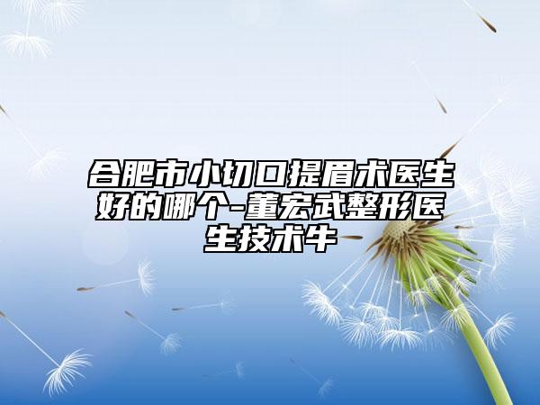 合肥市小切口提眉術(shù)醫(yī)生好的哪個(gè)-董宏武整形醫(yī)生技術(shù)牛