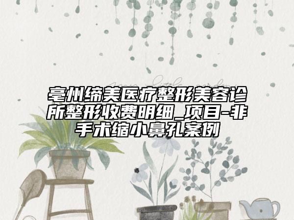 亳州締美醫(yī)療整形美容診所整形收費(fèi)明細(xì)_項(xiàng)目-非手術(shù)縮小鼻孔案例