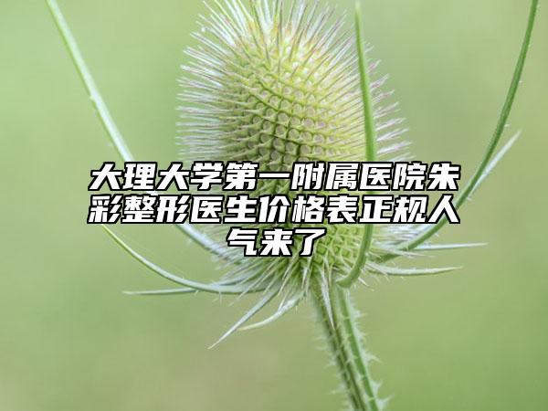 大理大學第一附屬醫(yī)院朱彩整形醫(yī)生價格表正規(guī)人氣來了