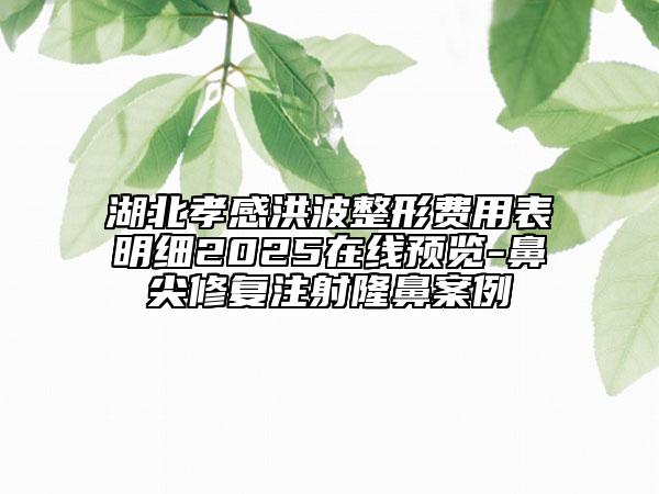 湖北孝感洪波整形費(fèi)用表明細(xì)2025在線預(yù)覽-鼻尖修復(fù)注射隆鼻案例