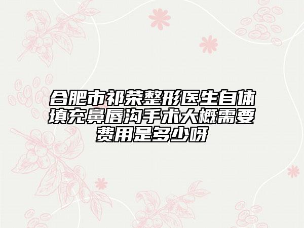 合肥市祁榮整形醫(yī)生自體填充鼻唇溝手術(shù)大概需要費用是多少呀