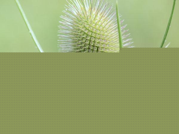 黃志忠醫(yī)生射頻美容溶脂案例-價格表及項目情況公示