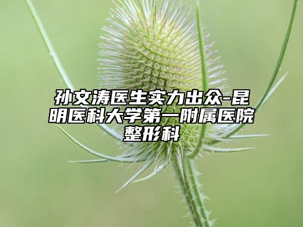 孫文濤醫(yī)生實(shí)力出眾-昆明醫(yī)科大學(xué)第一附屬醫(yī)院整形科