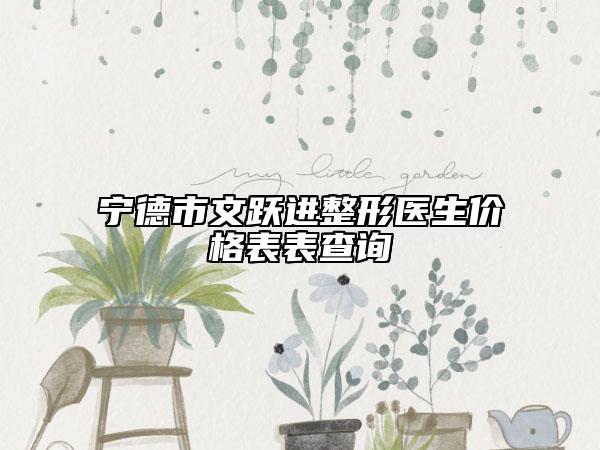 寧德市文躍進整形醫(yī)生價格表表查詢