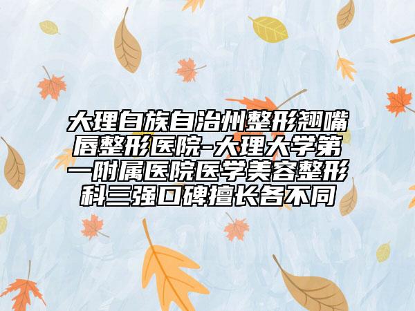 大理白族自治州整形翹嘴唇整形醫(yī)院-大理大學(xué)第一附屬醫(yī)院醫(yī)學(xué)美容整形科三強(qiáng)口碑擅長各不同