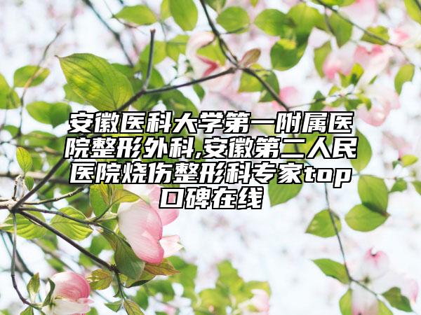 安徽醫(yī)科大學第一附屬醫(yī)院整形外科,安徽第二人民醫(yī)院燒傷整形科專家top口碑在線