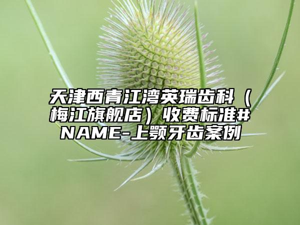 天津西青江灣英瑞齒科（梅江旗艦店）收費(fèi)標(biāo)準(zhǔn)#NAME-上顎牙齒案例