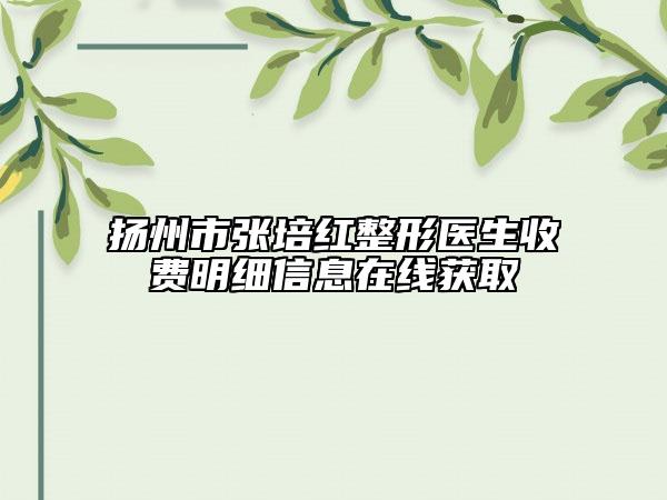 揚(yáng)州市張培紅整形醫(yī)生收費(fèi)明細(xì)信息在線獲取
