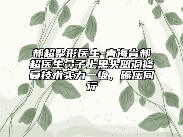 郝超整形醫(yī)生-青海省郝超醫(yī)生鼻子上黑頭凹洞修復技術實力一絕，碾壓同行