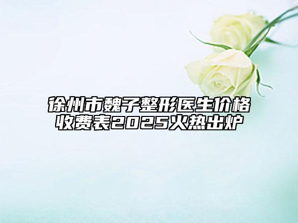 徐州市魏子整形醫(yī)生價(jià)格收費(fèi)表2025火熱出爐