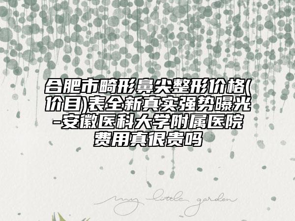 合肥市畸形鼻尖整形價(jià)格(價(jià)目)表全新真實(shí)強(qiáng)勢曝光-安徽醫(yī)科大學(xué)附屬醫(yī)院費(fèi)用真很貴嗎