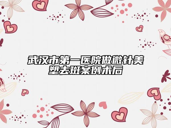 武漢市第一醫(yī)院做微針美塑去斑案例術(shù)后