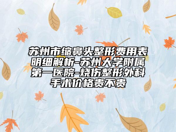 蘇州市縮鼻頭整形費(fèi)用表明細(xì)解析-蘇州大學(xué)附屬第一醫(yī)院-燒傷整形外科手術(shù)價(jià)格貴不貴