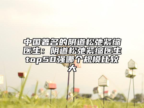 中國著名的陰道松弛緊縮醫(yī)生：陰道松弛緊縮醫(yī)生top50強哪個規(guī)模比較大