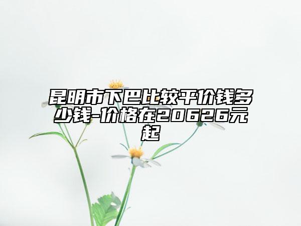昆明市下巴比較平價(jià)錢多少錢-價(jià)格在20626元起