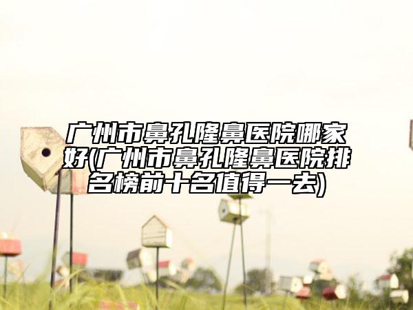 廣州市鼻孔隆鼻醫(yī)院哪家好(廣州市鼻孔隆鼻醫(yī)院排名榜前十名值得一去)