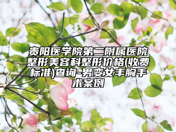 貴陽醫(yī)學(xué)院第二附屬醫(yī)院整形美容科整形價格(收費標(biāo)準(zhǔn))查詢-男變女豐胸手術(shù)案例