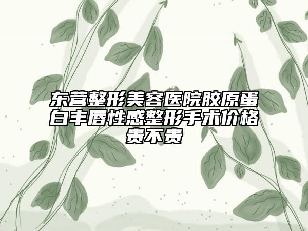 東營整形美容醫(yī)院膠原蛋白豐唇性感整形手術(shù)價格貴不貴