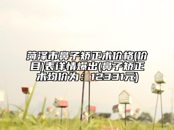 菏澤市鼻子矯正術(shù)價(jià)格(價(jià)目)表詳情爆出(鼻子矯正術(shù)均價(jià)為：12331元)