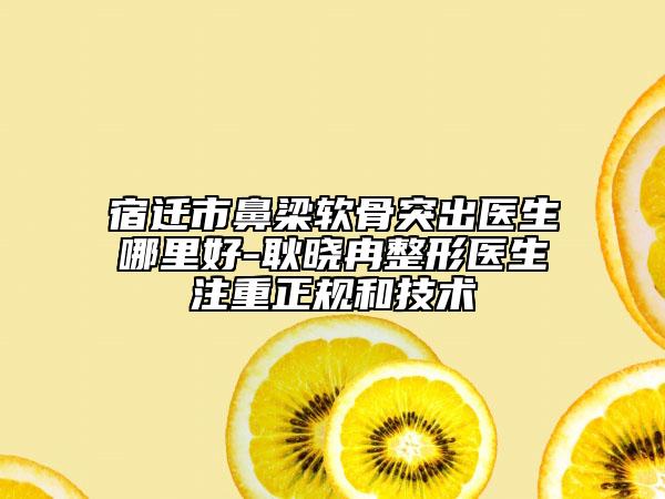 宿遷市鼻梁軟骨突出醫(yī)生哪里好-耿曉冉整形醫(yī)生注重正規(guī)和技術(shù)