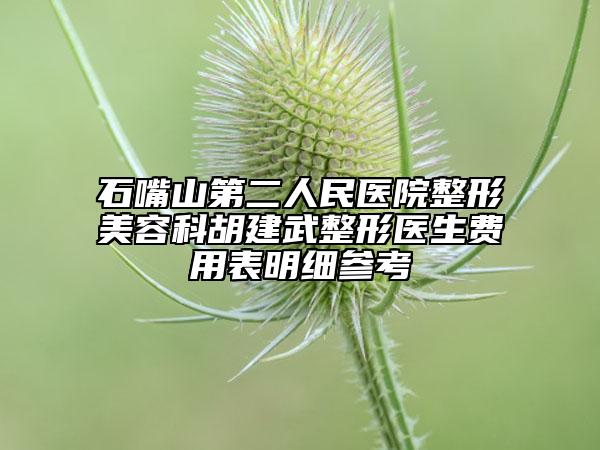 石嘴山第二人民醫(yī)院整形美容科胡建武整形醫(yī)生費(fèi)用表明細(xì)參考