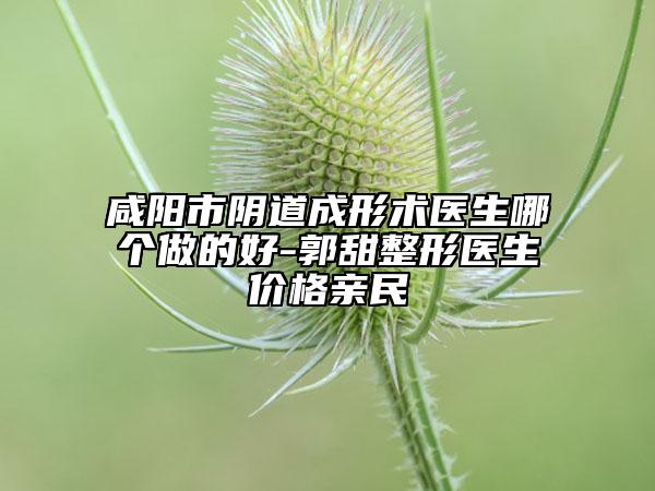 咸陽(yáng)市陰道成形術(shù)醫(yī)生哪個(gè)做的好-郭甜整形醫(yī)生價(jià)格親民