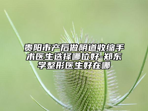 貴陽市產(chǎn)后做陰道收縮手術(shù)醫(yī)生選擇哪位好-鄭東學整形醫(yī)生好在哪