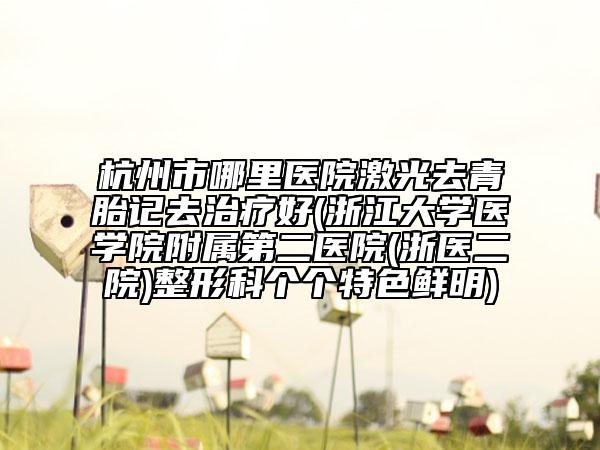 杭州市哪里醫(yī)院激光去青胎記去治療好(浙江大學(xué)醫(yī)學(xué)院附屬第二醫(yī)院(浙醫(yī)二院)整形科個個特色鮮明)
