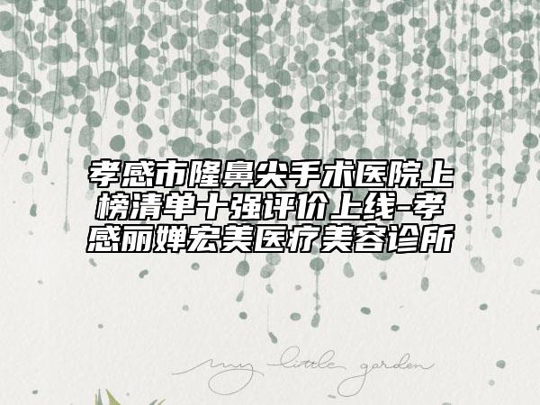 孝感市隆鼻尖手術(shù)醫(yī)院上榜清單十強(qiáng)評價上線-孝感麗嬋宏美醫(yī)療美容診所