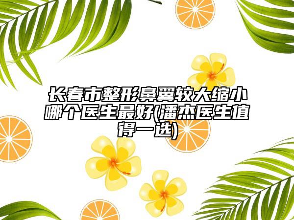 長春市整形鼻翼較大縮小哪個醫(yī)生最好(潘杰醫(yī)生值得一選)