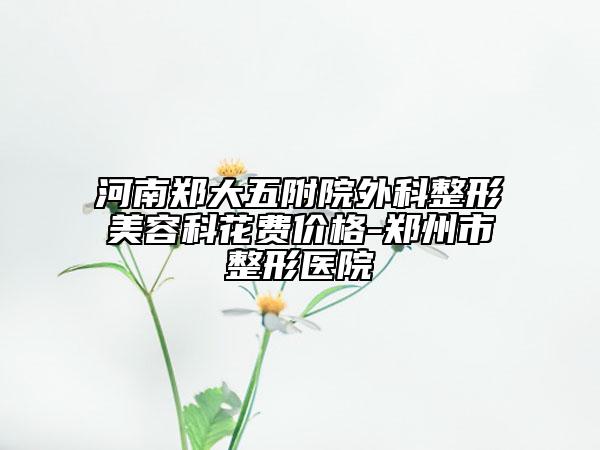 河南鄭大五附院外科整形美容科花費價格-鄭州市整形醫(yī)院