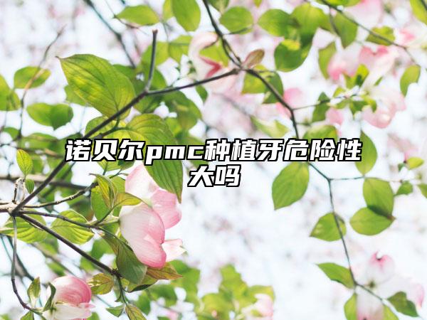 諾貝爾pmc種植牙危險(xiǎn)性大嗎