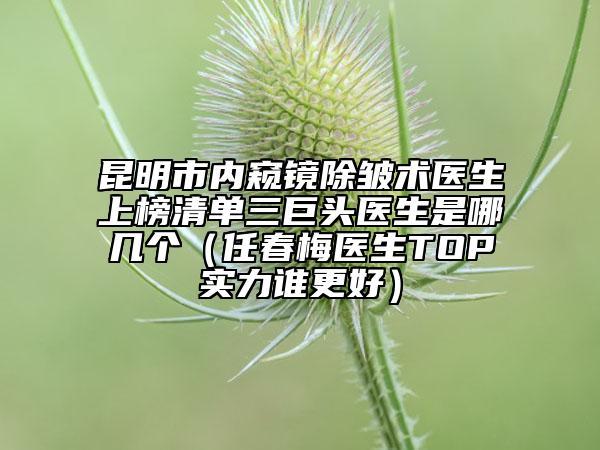 昆明市內(nèi)窺鏡除皺術(shù)醫(yī)生上榜清單三巨頭醫(yī)生是哪幾個(gè)（任春梅醫(yī)生TOP實(shí)力誰更好）