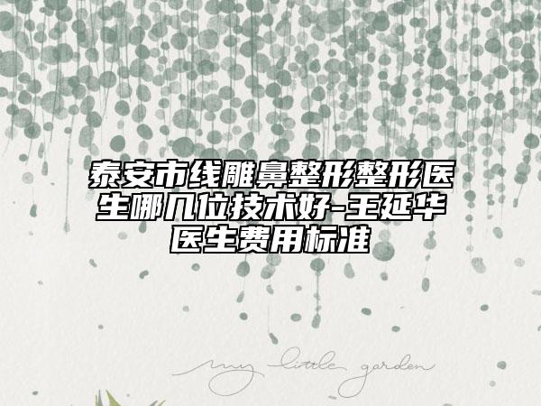 泰安市線雕鼻整形整形醫(yī)生哪幾位技術(shù)好-王延華醫(yī)生費(fèi)用標(biāo)準(zhǔn)