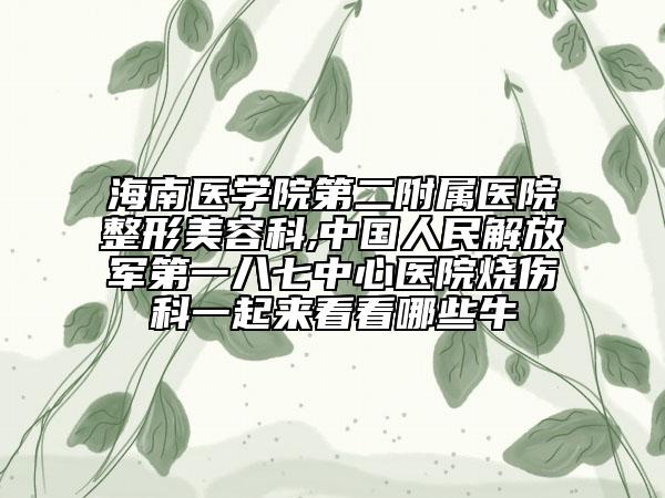 海南醫(yī)學院第二附屬醫(yī)院整形美容科,中國人民解放軍第一八七中心醫(yī)院燒傷科一起來看看哪些牛