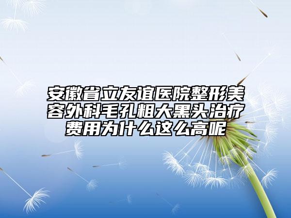 安徽省立友誼醫(yī)院整形美容外科毛孔粗大黑頭治療費(fèi)用為什么這么高呢