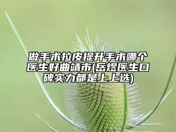 做手術(shù)拉皮提升手術(shù)哪個醫(yī)生好曲靖市(岳煜醫(yī)生口碑實力都是上上選)