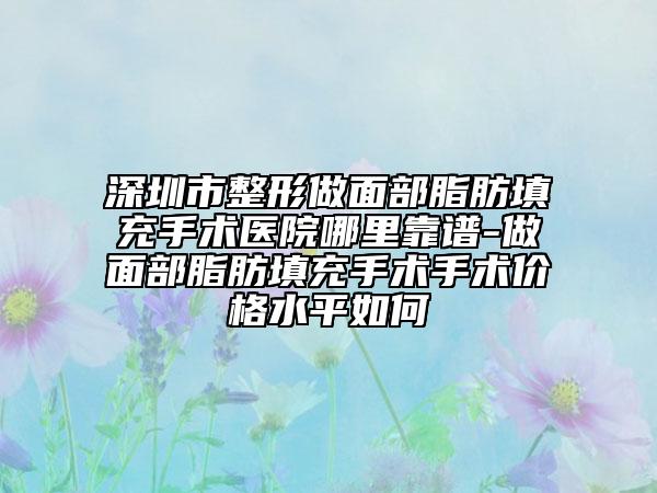 深圳市整形做面部脂肪填充手術(shù)醫(yī)院哪里靠譜-做面部脂肪填充手術(shù)手術(shù)價格水平如何