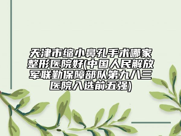 天津市縮小鼻孔手術(shù)哪家整形醫(yī)院好(中國人民解放軍聯(lián)勤保障部隊第九八三醫(yī)院入選前五強)
