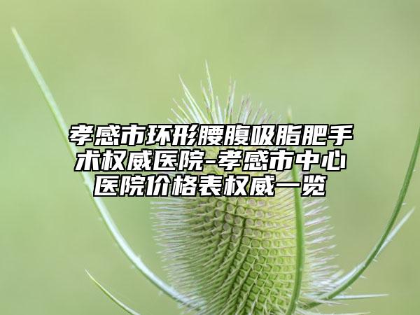 孝感市環(huán)形腰腹吸脂肥手術(shù)權(quán)威醫(yī)院-孝感市中心醫(yī)院價(jià)格表權(quán)威一覽