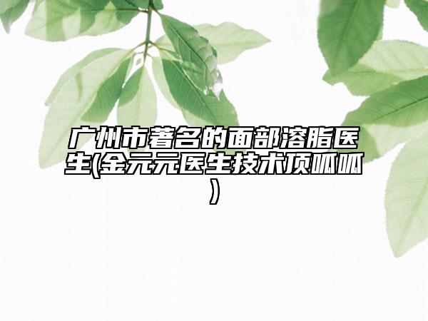廣州市著名的面部溶脂醫(yī)生(金元元醫(yī)生技術(shù)頂呱呱)