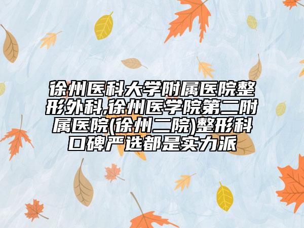 徐州醫(yī)科大學(xué)附屬醫(yī)院整形外科,徐州醫(yī)學(xué)院第二附屬醫(yī)院(徐州二院)整形科口碑嚴(yán)選都是實(shí)力派