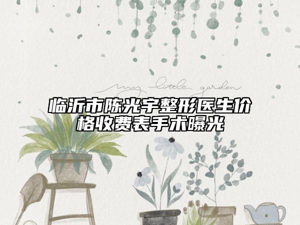 臨沂市陳光宇整形醫(yī)生價(jià)格收費(fèi)表手術(shù)曝光