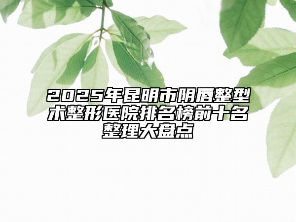 2025年昆明市陰唇整型術(shù)整形醫(yī)院排名榜前十名整理大盤點(diǎn)
