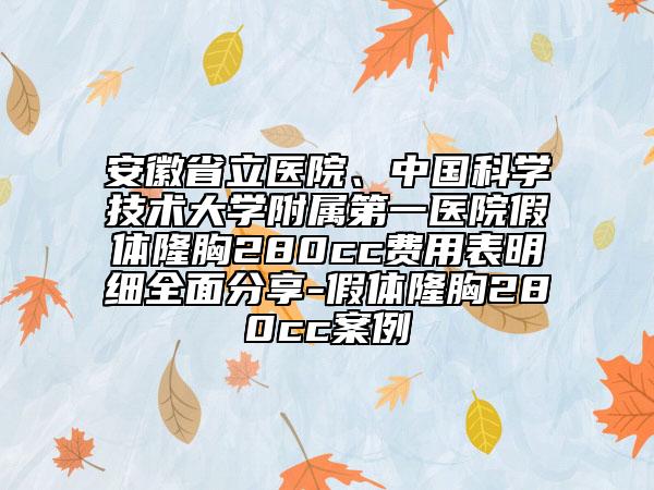 安徽省立醫(yī)院、中國(guó)科學(xué)技術(shù)大學(xué)附屬第一醫(yī)院假體隆胸280cc費(fèi)用表明細(xì)全面分享-假體隆胸280cc案例