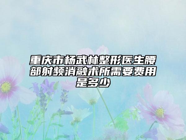 重慶市楊武林整形醫(yī)生腰部射頻消融術(shù)所需要費用是多少
