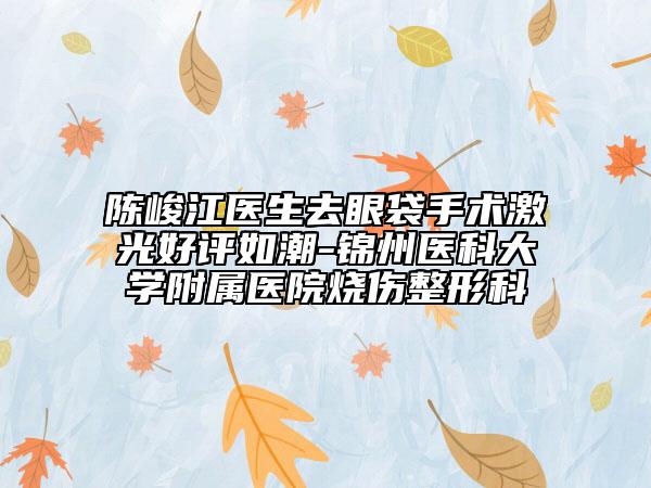 陳峻江醫(yī)生去眼袋手術(shù)激光好評如潮-錦州醫(yī)科大學(xué)附屬醫(yī)院燒傷整形科