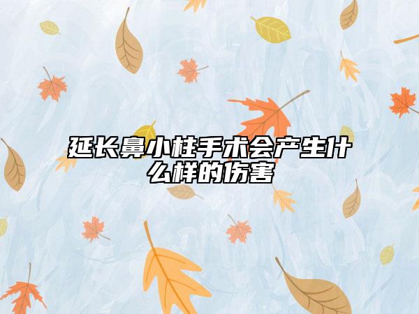 延長鼻小柱手術(shù)會產(chǎn)生什么樣的傷害