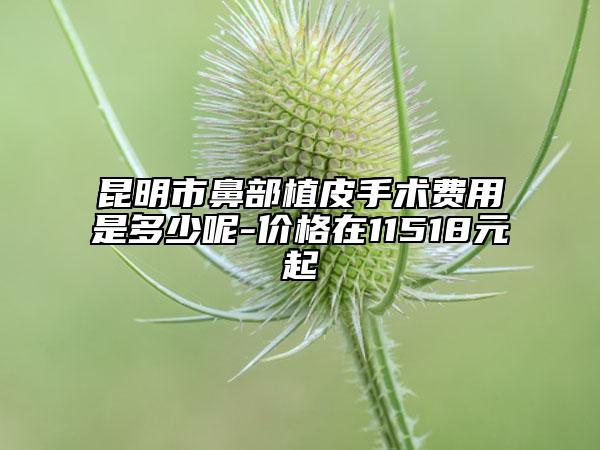 昆明市鼻部植皮手術(shù)費(fèi)用是多少呢-價(jià)格在11518元起